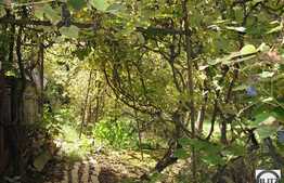 Casa renovabila in cartierul Gruia!