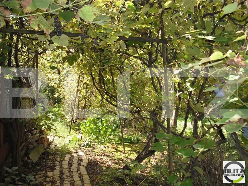 Casa de vânzare 1 camera Gruia - 18172CV | BLITZ Cluj-Napoca | Poza4