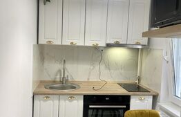 Garsoniera premium de inchiriere, la un pas de facultatea UMF 