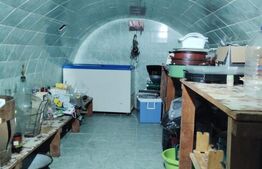 COMISION 0!Casa cu 2 apartamente, 210 mp, 1350 mp teren, in Vistea