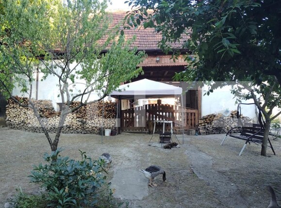 Casa de vânzare 4 camere Baciu - 181794CV | BLITZ Cluj-Napoca | Poza6