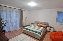 Casa 5 camere, 203 mp de teren, zona strazii Ioan Rus
