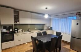 Casa 5 camere, 203 mp de teren, zona strazii Ioan Rus