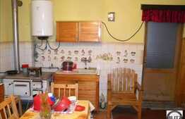 Vanzare casa cu 178 mp plus 125 mp hala