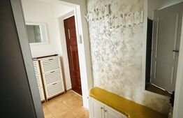 Apartament cu 3 camere – spațios și luminos – Cartier Astra