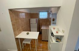 Garsoniera de vanzare, 20 mp + beci 7 mp, mobilata, Centrului Vechi