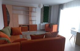 Apartament 2 camere,etaj 1 din 3, cu parcare ,zona Porii nr mici