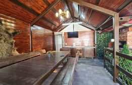 Vilă individuala cu 6 camere, zona Florilor