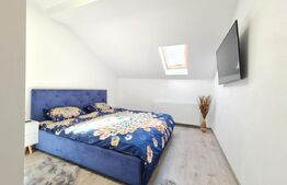 Vilă individuala cu 6 camere, zona Florilor