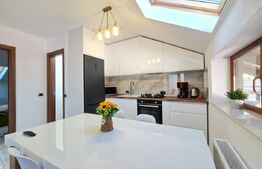 Vilă individuala cu 6 camere, zona Florilor