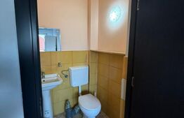 Apartament 4 camere, 150mp, zona traian vuia 
