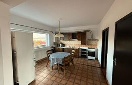 Apartament 4 camere, 150mp, zona traian vuia 