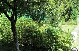 Casa individuala cu front la 2 strazi, 150 mp utili, 403 mp teren