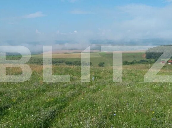 Teren de vânzare Salicea - 181915TV | BLITZ Cluj-Napoca | Poza2