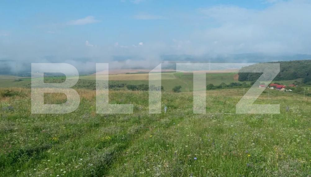 Teren de vânzare Salicea - 181915TV | BLITZ Cluj-Napoca | Poza2