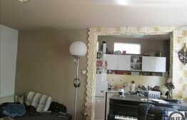 Vanzare casa individuala, 110 mp, 210 mp teren, zona de case si vile