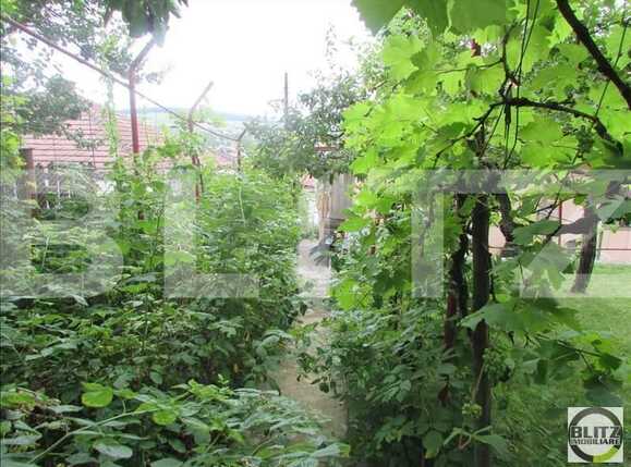 Casa de vânzare 2 camere Gruia - 18195CV | BLITZ Cluj-Napoca | Poza7
