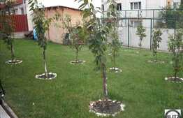 Un Imobil Potrivit Pentru Locuit Sau Sediu De Firma !