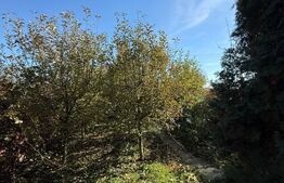 Casa 4 camere,teren 400mp,15 km de Brasov