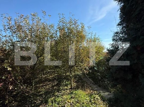 Casa de vânzare 4 camere Hălchiu - 181970CV | BLITZ Brașov | Poza24