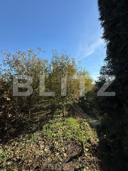 Casa de vânzare 4 camere Hălchiu - 181970CV | BLITZ Brașov | Poza24