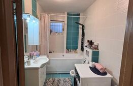 Apartament 2 camere, cu gradina, zona Vivo