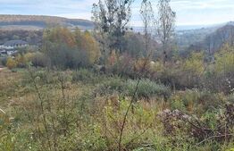 Investitie ! Proiect autorizat casa alipite , Feleacu ,Valea Caprioarei  !