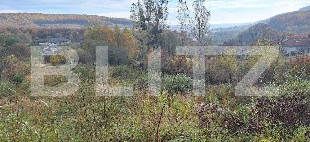 Teren de vânzare Feleacu - 181988TV | BLITZ Cluj-Napoca | Poza4