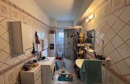 Casa spatioana de 361 mp utili, regim D+P+M, teren de 1366 mp , Dambu Rotund