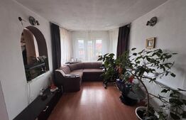 Casa spatioana de 361 mp utili, regim D+P+M, teren de 1366 mp , Dambu Rotund