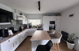 Casa spatioana de 361 mp utili, regim D+P+M, teren de 1366 mp , Dambu Rotund