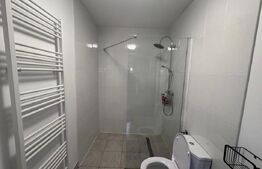 Casa spatioana de 361 mp utili, regim D+P+M, teren de 1366 mp , Dambu Rotund