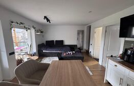 Casa spatioana de 361 mp utili, regim D+P+M, teren de 1366 mp , Dambu Rotund