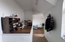 Casa spatioana de 361 mp utili, regim D+P+M, teren de 1366 mp , Dambu Rotund