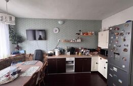 Casa spatioana de 361 mp utili, regim D+P+M, teren de 1366 mp , Dambu Rotund