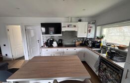 Casa spatioana de 361 mp utili, regim D+P+M, teren de 1366 mp , Dambu Rotund