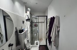 Casa spatioana de 361 mp utili, regim D+P+M, teren de 1366 mp , Dambu Rotund