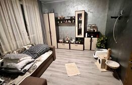 Apartament de 2 camere, 46 mp, balcon, zona Piata Abator