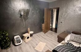 Apartament de 2 camere, 46 mp, balcon, zona Piata Abator