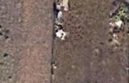 Teren de vanzare, 916mp, front 15m, Avram Iancu