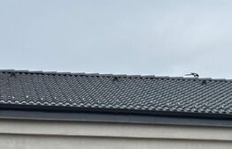 Apartament în vilă cu teren - Brașov