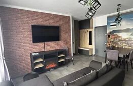 Apartament modern, 2 camere, zona Teilor 