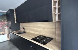 Apartament modern, 2 camere, zona Teilor 