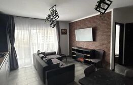 Apartament modern, 2 camere, zona Teilor 