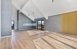 Casă deosebită, cu design interior semnat de designer, 228.000 euro negociabil