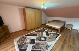 Apartament cu 2 camere, 80 mp, terasa, zona strazii Sobarilor
