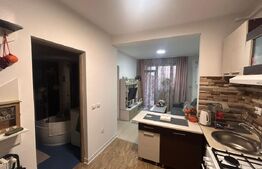 Apartament modern cu grădină mare – 2 camere, Sesu de Sus