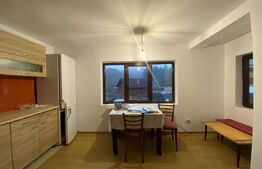 Casa cocheta in Baciu: aproape de natura, aproape de oras