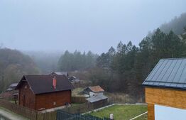 Casa cocheta in Baciu: aproape de natura, aproape de oras