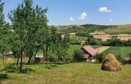 Proprietate traditionala cu 2040 mp teren